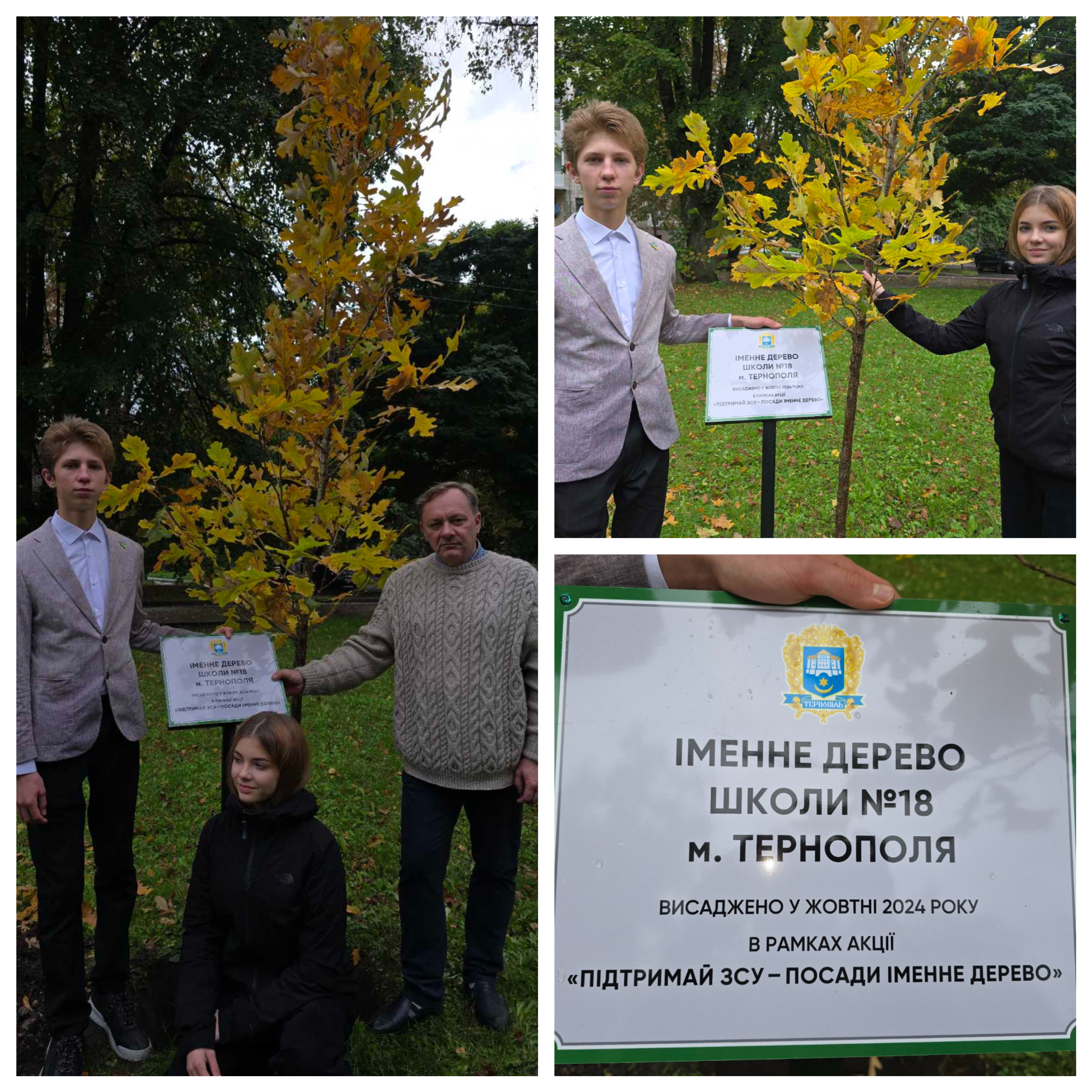 Підтримай ЗСУ — посади іменне дерево